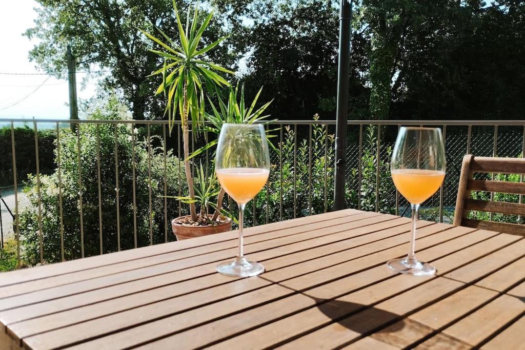 Charmante Maison Avec Jardin Aux Portes Des Gorges De L'Ardeche Saint-Julien-de-Peyrolas Ngoại thất bức ảnh